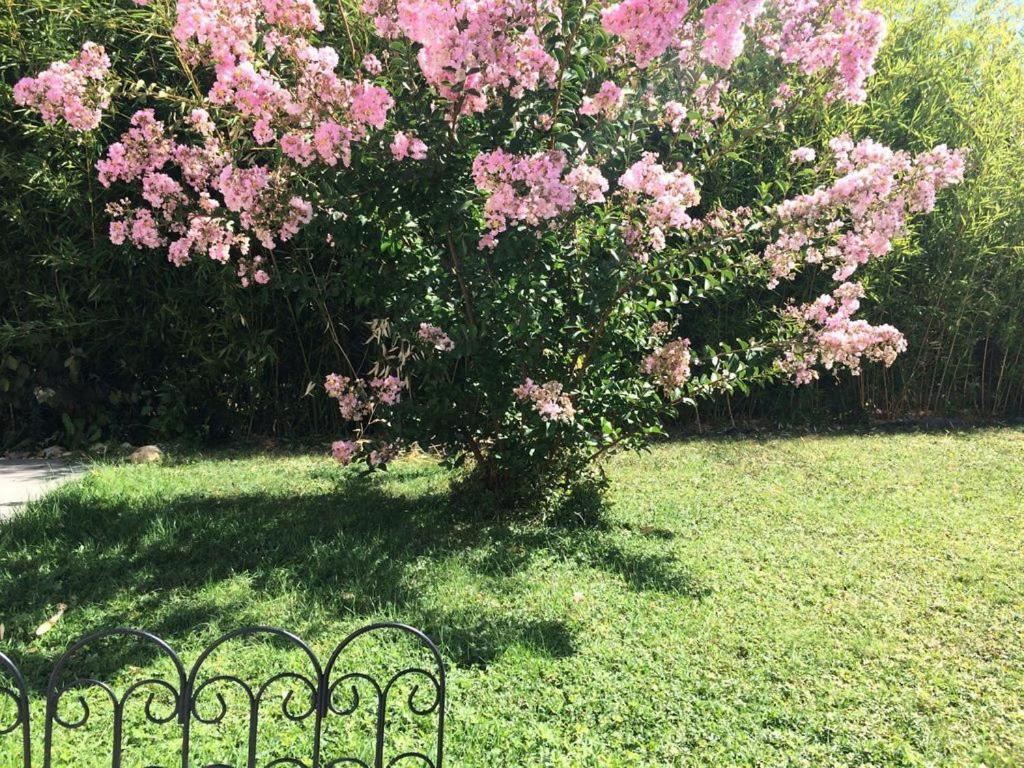 Cottage La Villa Bolero Saint-Cyr-sur-Loire Zewnętrze zdjęcie