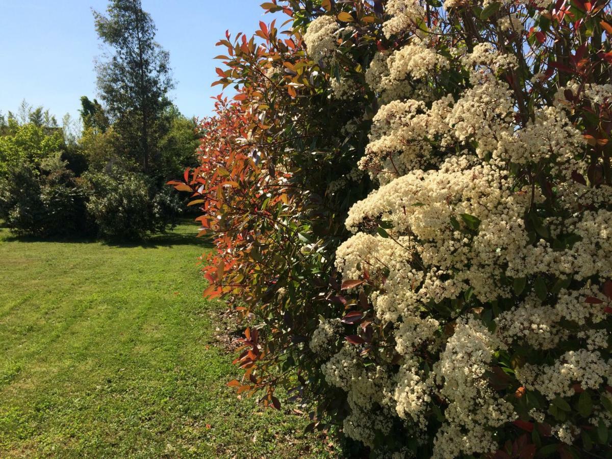 Cottage La Villa Bolero Saint-Cyr-sur-Loire Zewnętrze zdjęcie
